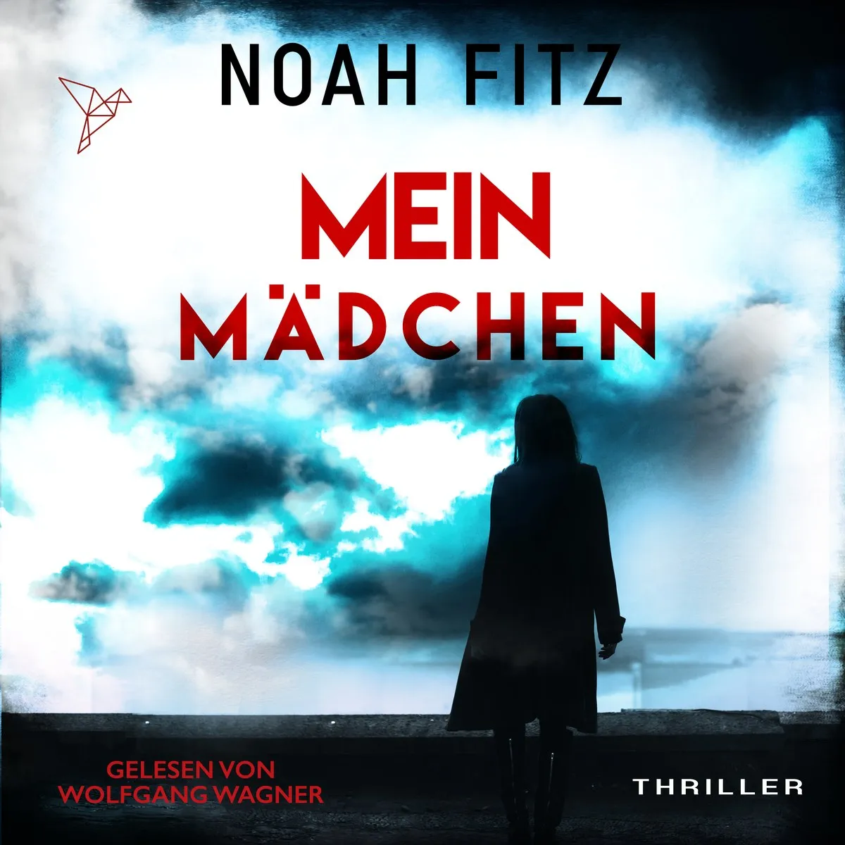 Cover: Mein Mädchen von Noah Fitz
