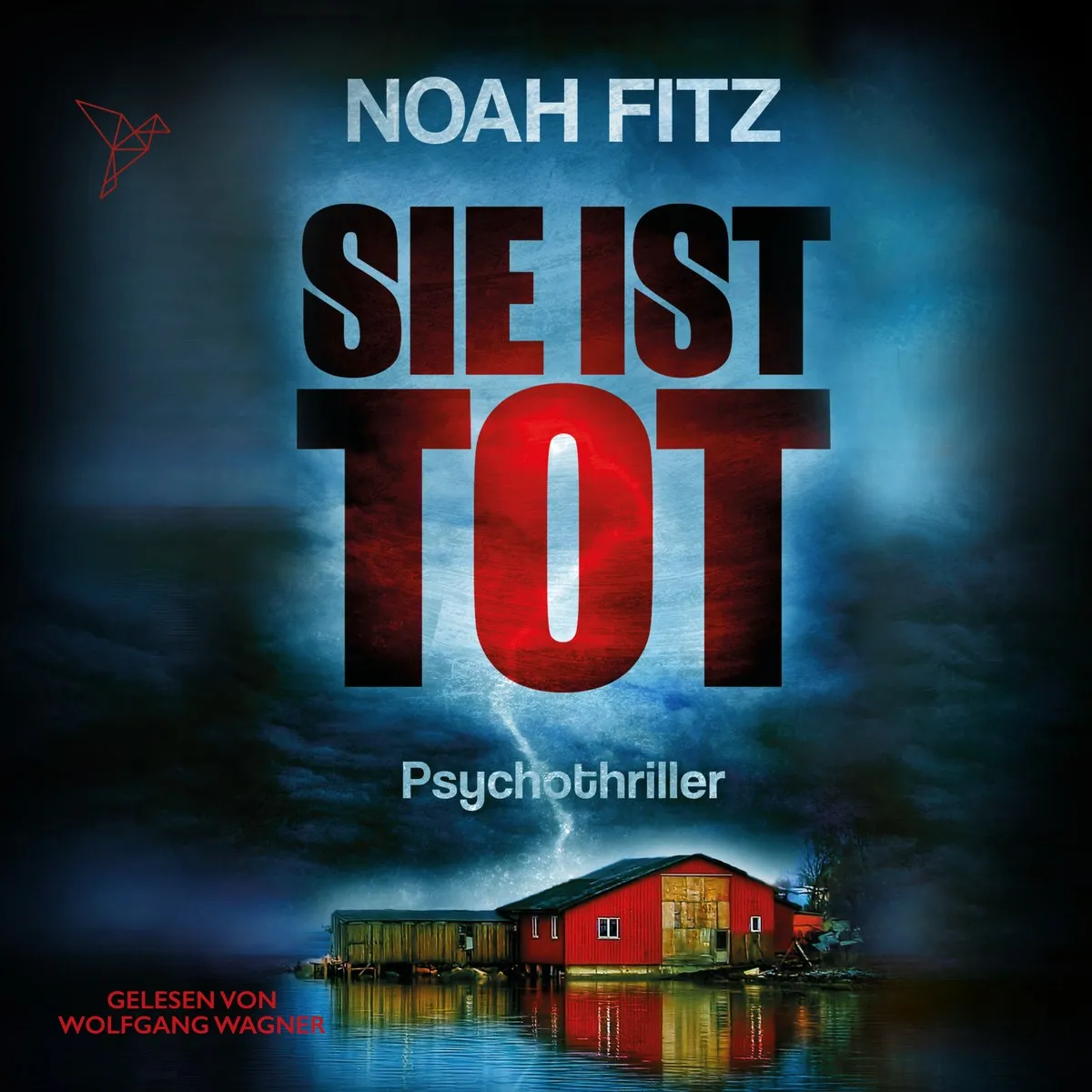 Cover: Sie ist tot von Noah Fitz
